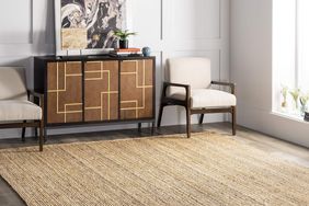 Amazon Area Rug Deals tout