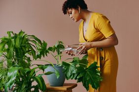 woman watering house plants