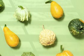 multiple types of squash on a green background