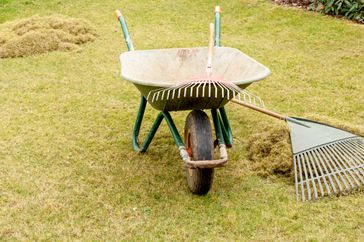 background of garden tools materials dethatching to clean up a garden with wheelbarrow, rake leaves.