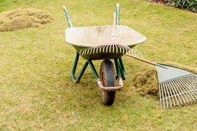 background of garden tools materials dethatching to clean up a garden with wheelbarrow, rake leaves.