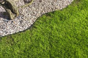 Lush green lawn with an edging of small garden stones