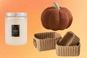  Fall Amazon Decor Finds