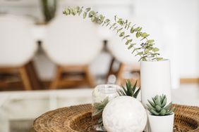 plants on a side table