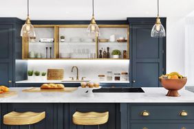 Modern Kitchen in a Beautiful Home