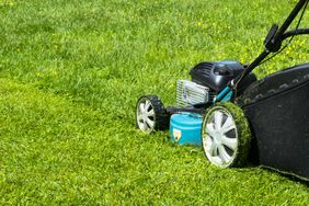 Lawn mower cutting fresh green grass