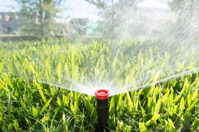 Lawn sprinkler watering green grass