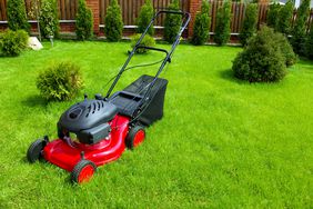 Lawn mower in the garden