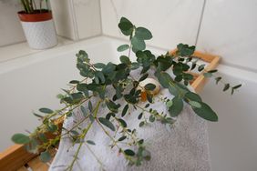 A general interior view of of a small white bathroom with marble effect tiles, bath caddy with eucalyptus leaves