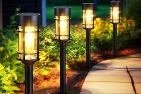 One-Off: Shoppers Rave About How Well These Pathway Solar Lights Hold Up in the Winter—and They're on Sale