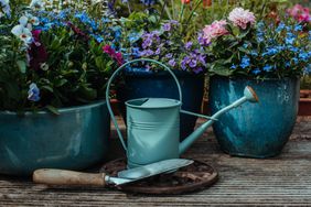 Gardening tools and flowers on the terrace in the garden