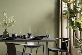 Green interior with dining table, plants and decor. 3d render illustration mockup.