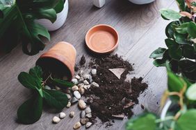 Top view plant pot accidentally fell with soil and rocks spread out on a floor