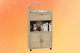 Rattan Storage Cabinet