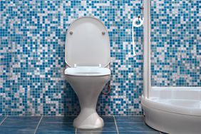 toilet and shower in blue tiled bathroom