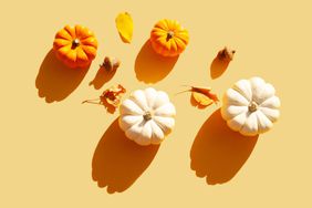 orange and white pumpkins