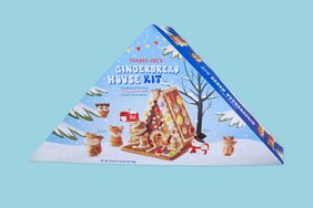 Trader Joe's Gingerbread House Kit