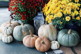 types-of-pumpkin-porch-GettyImages-1331078607