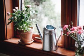 watering can on window sill next to plants